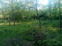 Продается ровный земельный участок площадью 9,2 сотки 